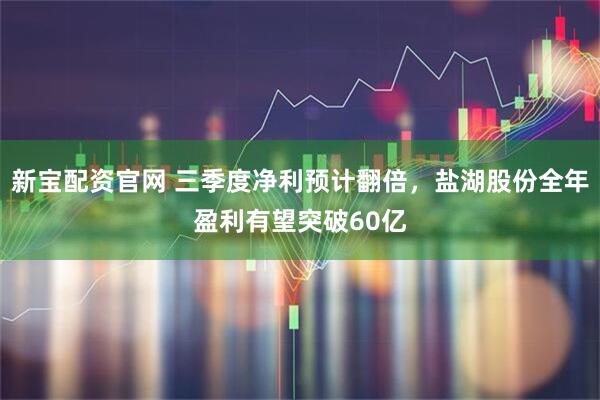 新宝配资官网 三季度净利预计翻倍，盐湖股份全年盈利有望突破60亿