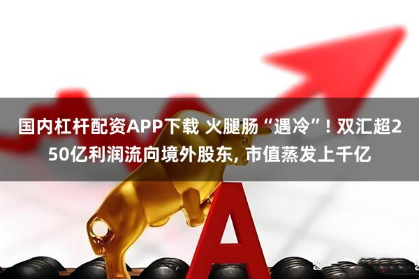 国内杠杆配资APP下载 火腿肠“遇冷”! 双汇超250亿利润流向境外股东, 市值蒸发上千亿